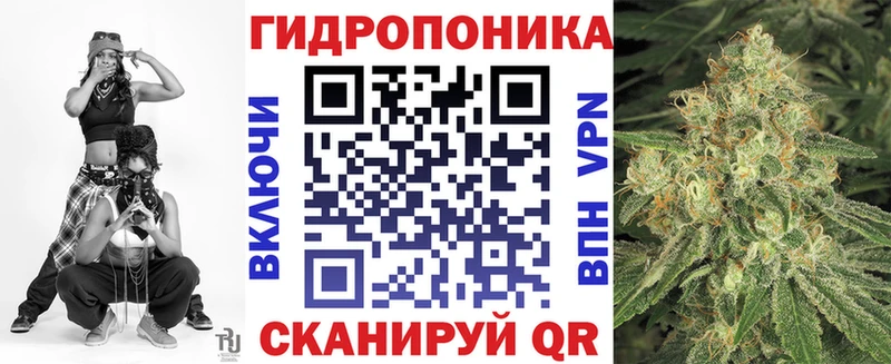 Купить закладки  Ипатово  Конопля конопля 